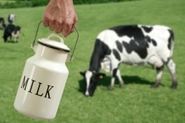 iStock_000013297009XSmall1.jpg