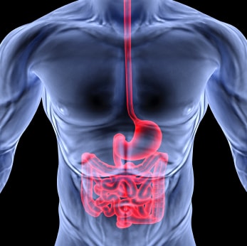 iStock_000017493981XSmall.jpg